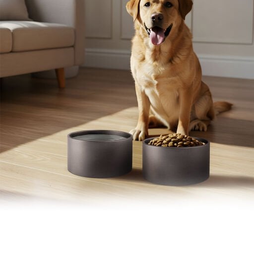 Standart Boy Köpek Mama Kapları