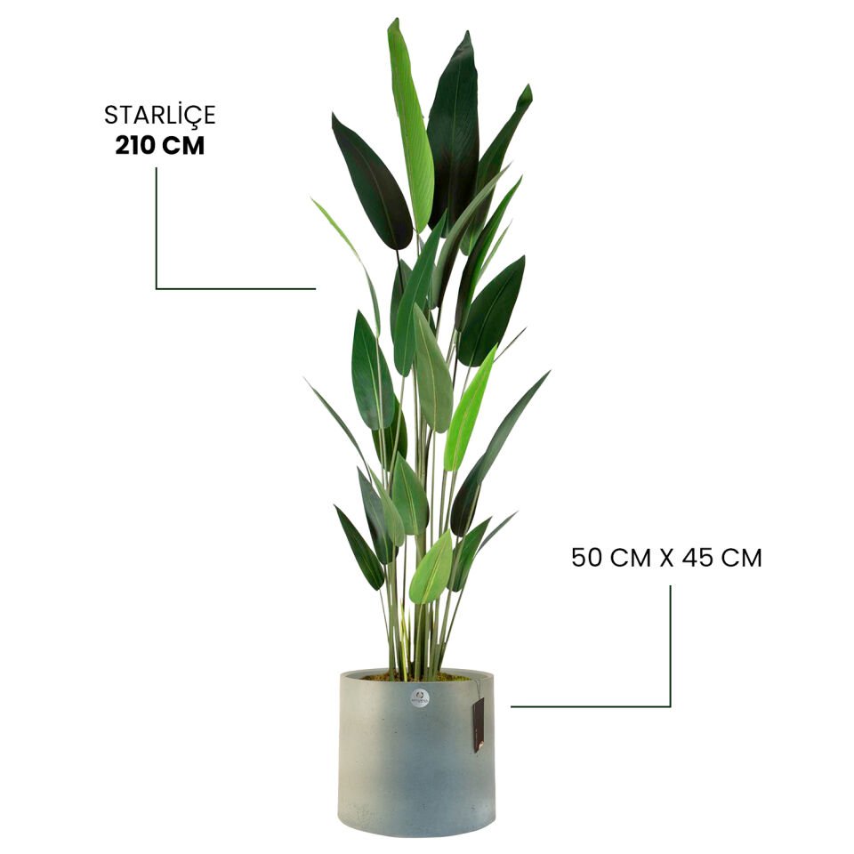 YAPAY STARLİÇE + LUNA XL SERİSİ