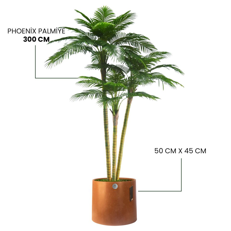 YAPAY PHOENİX PALMİYE + LUNA XL SERİSİ