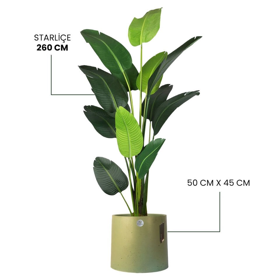 YAPAY STARLİÇE + LUNA XL SERİSİ