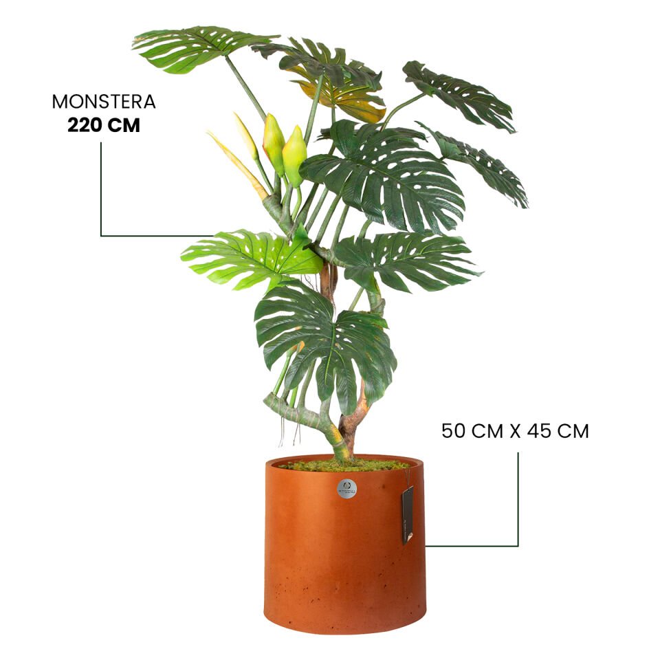 YAPAY MONSTERA + LUNA XL SERİSİ