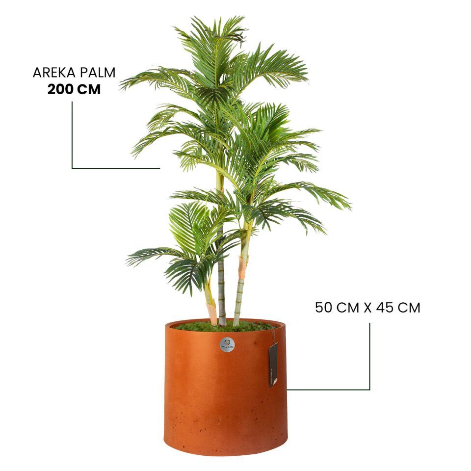 YAPAY AREKA PALM + LUNA XL SERİSİ