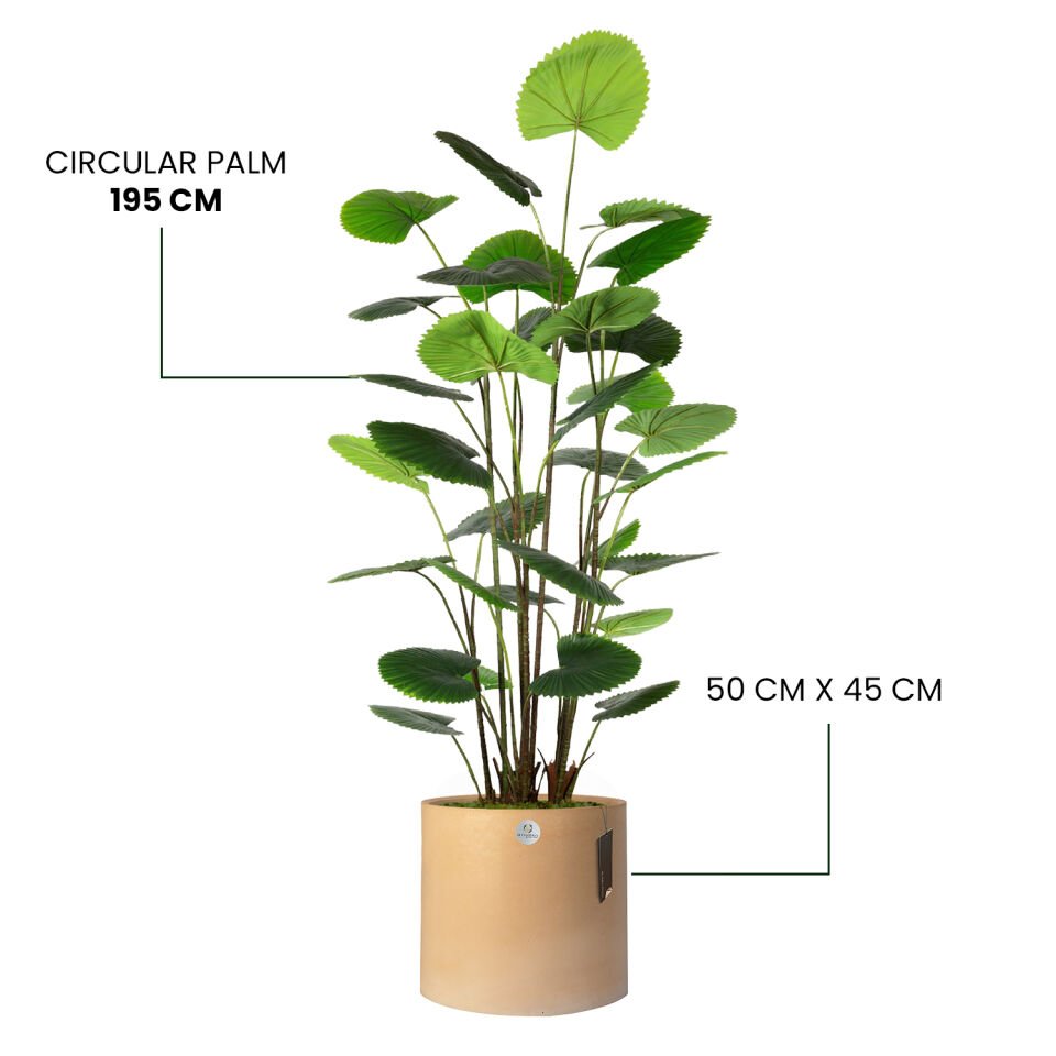 YAPAY CIRCULAR PALM + LUNA XL SERİSİ