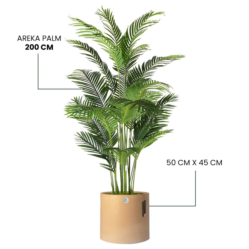 YAPAY AREKA PALM + LUNA XL SERİSİ