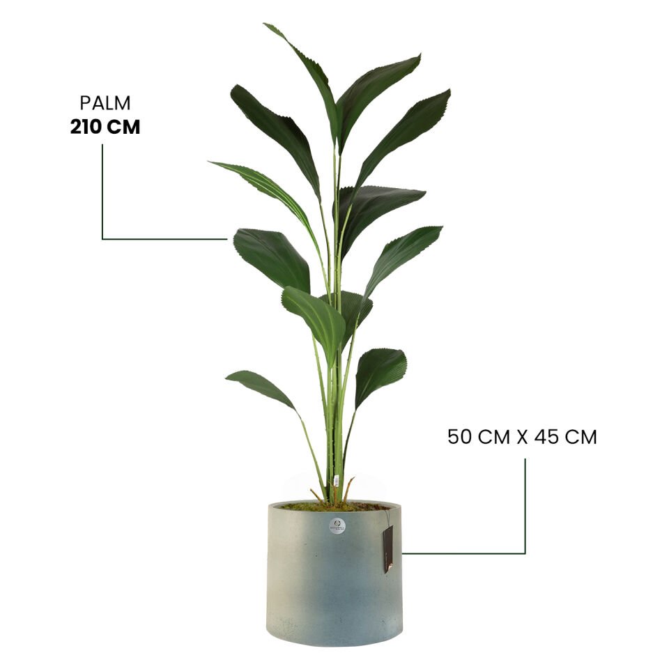 YAPAY PALM + LUNA XL SERİSİ