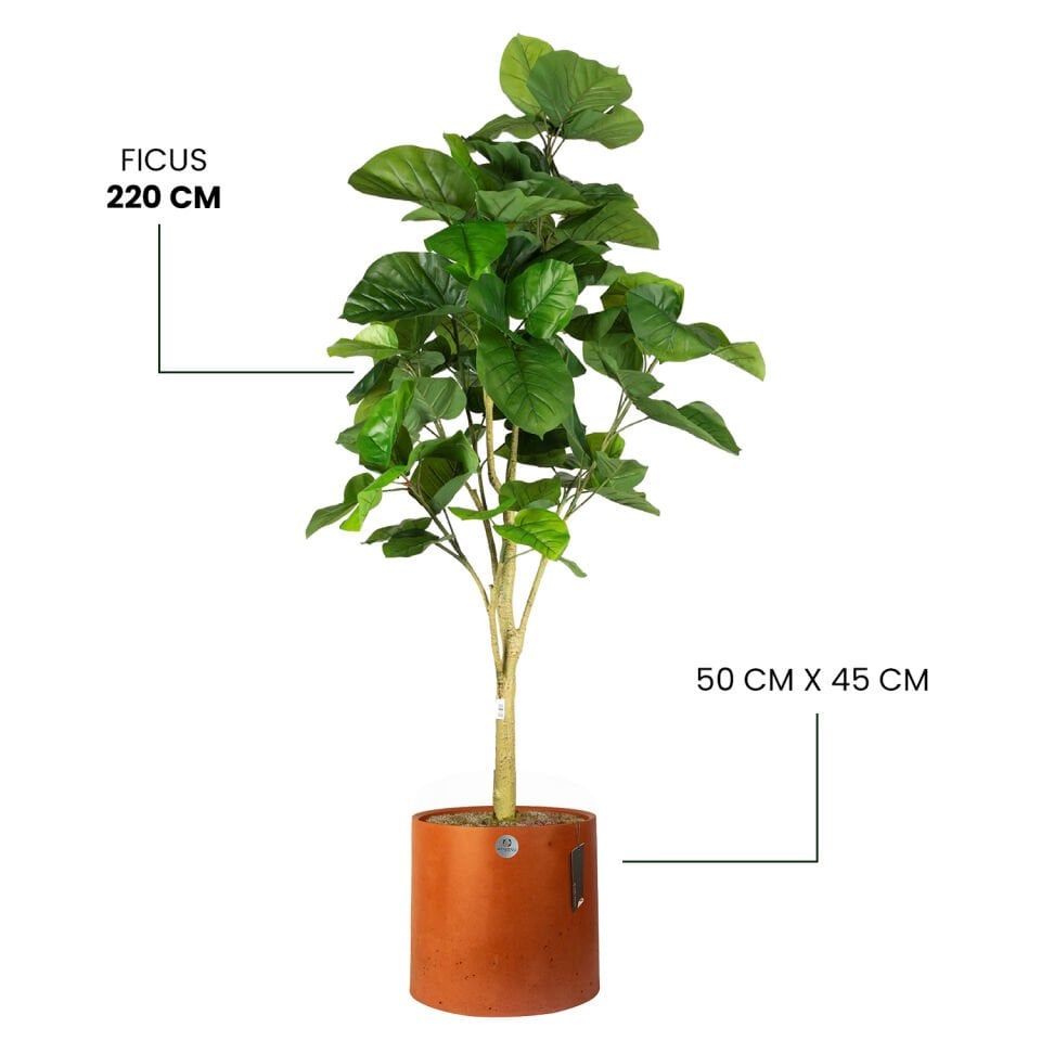 YAPAY FICUS + LUNA XL SERİSİ