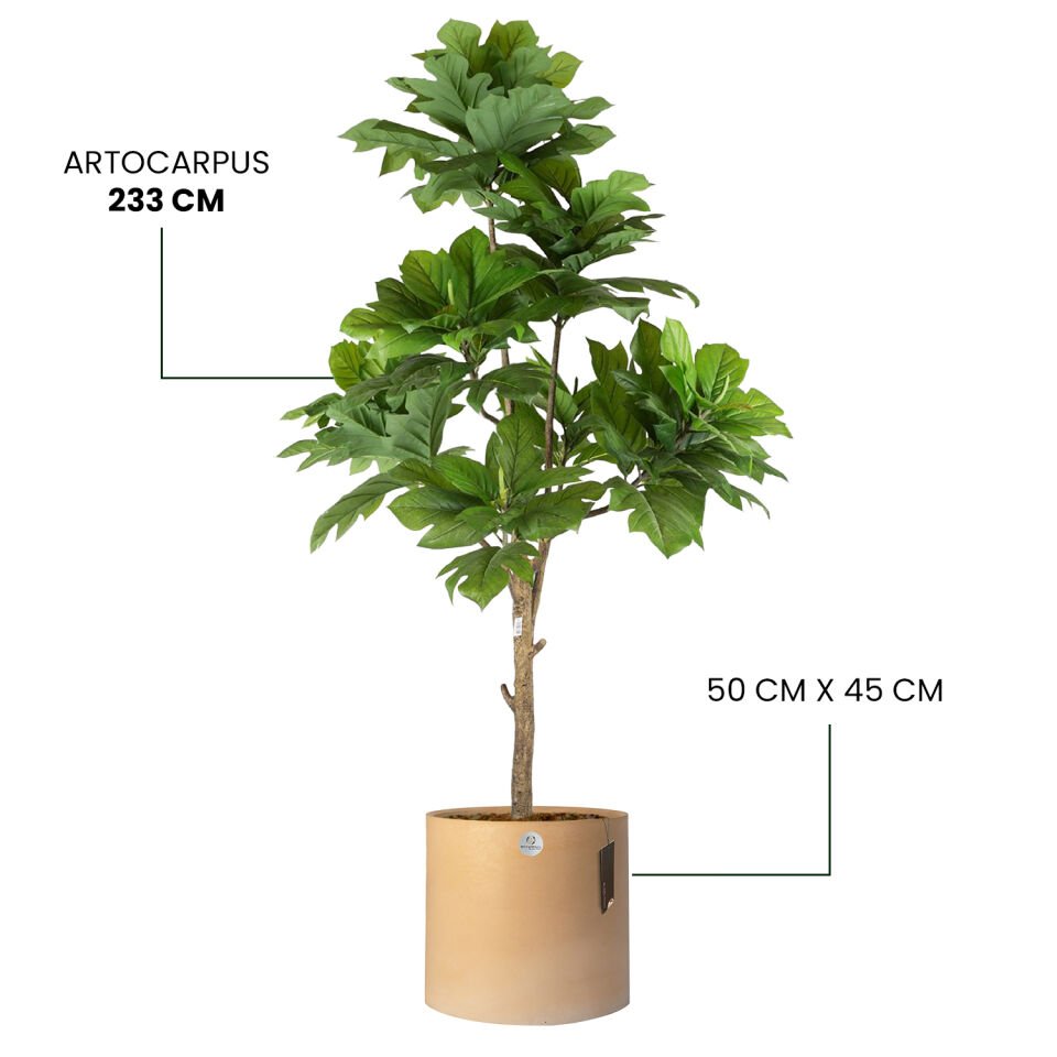 YAPAY ARTOCARPUS + LUNA XL SERİSİ