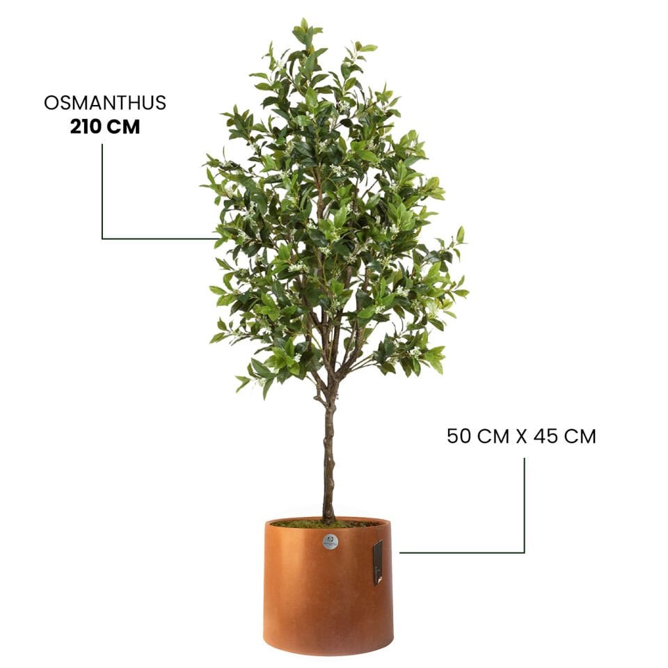 YAPAY OSMANTHUS  + LUNA XL SERİSİ