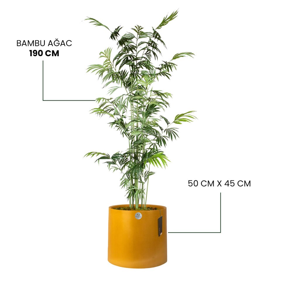 YAPAY BAMBU AĞAÇ + LUNA XL SERİSİ