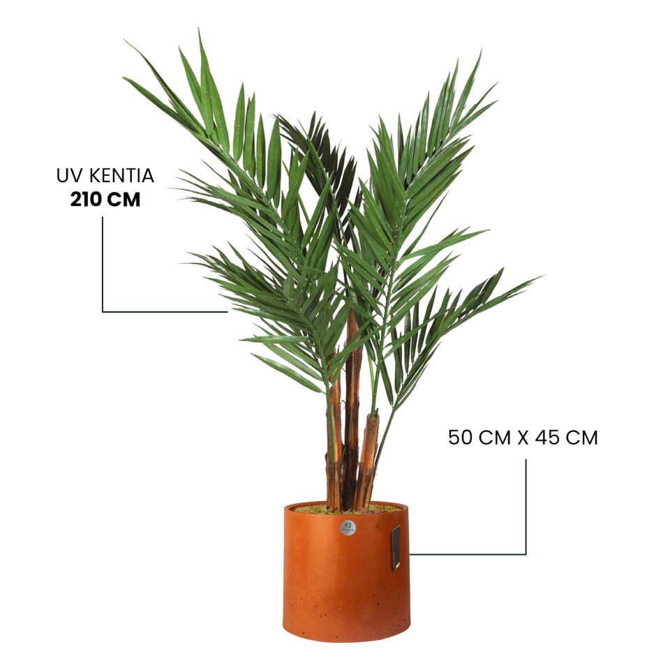 YAPAY UV KENTIA + LUNA XL SERİSİ