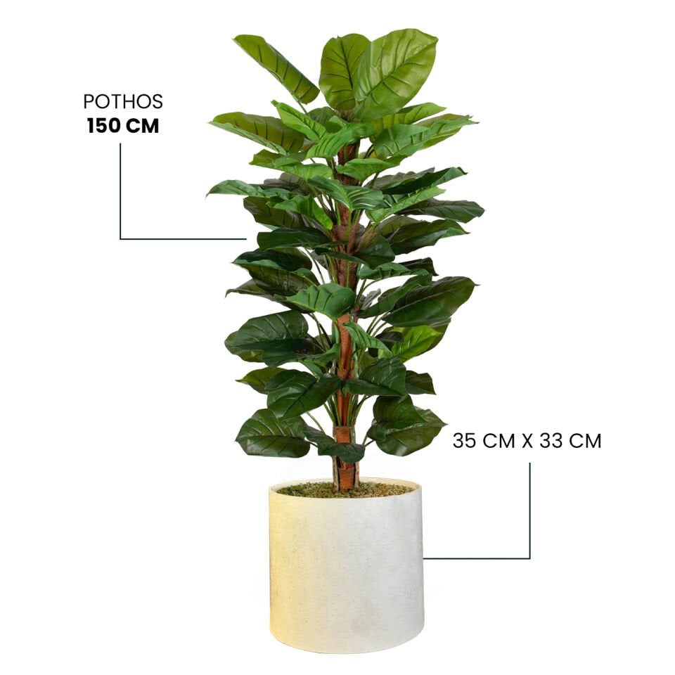 YAPAY POTHOS + MONARCHE LARGE SERİSİ