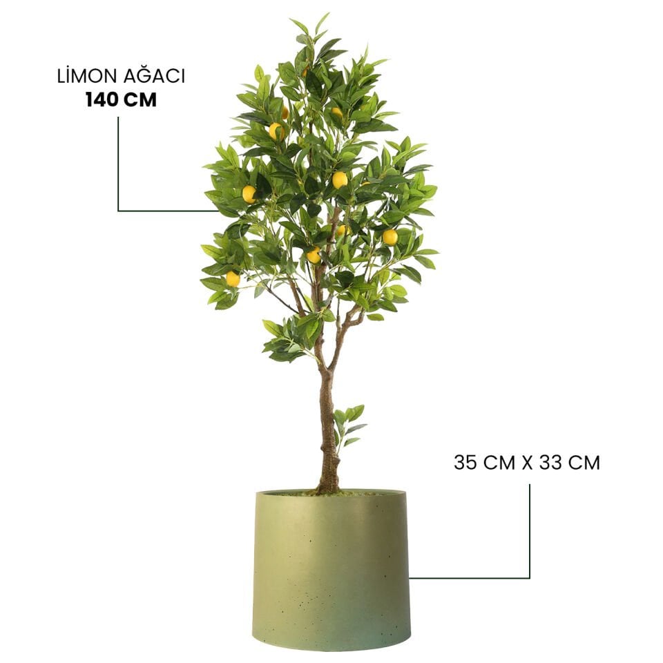 YAPAY LİMON AĞACI + MONARCHE LARGE SERİSİ