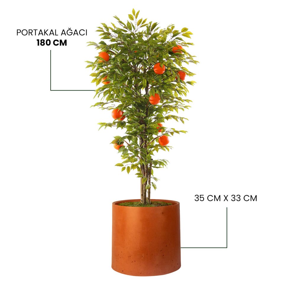 YAPAY PORTAKAL AĞACI + MONARCHE LARGE SERİSİ