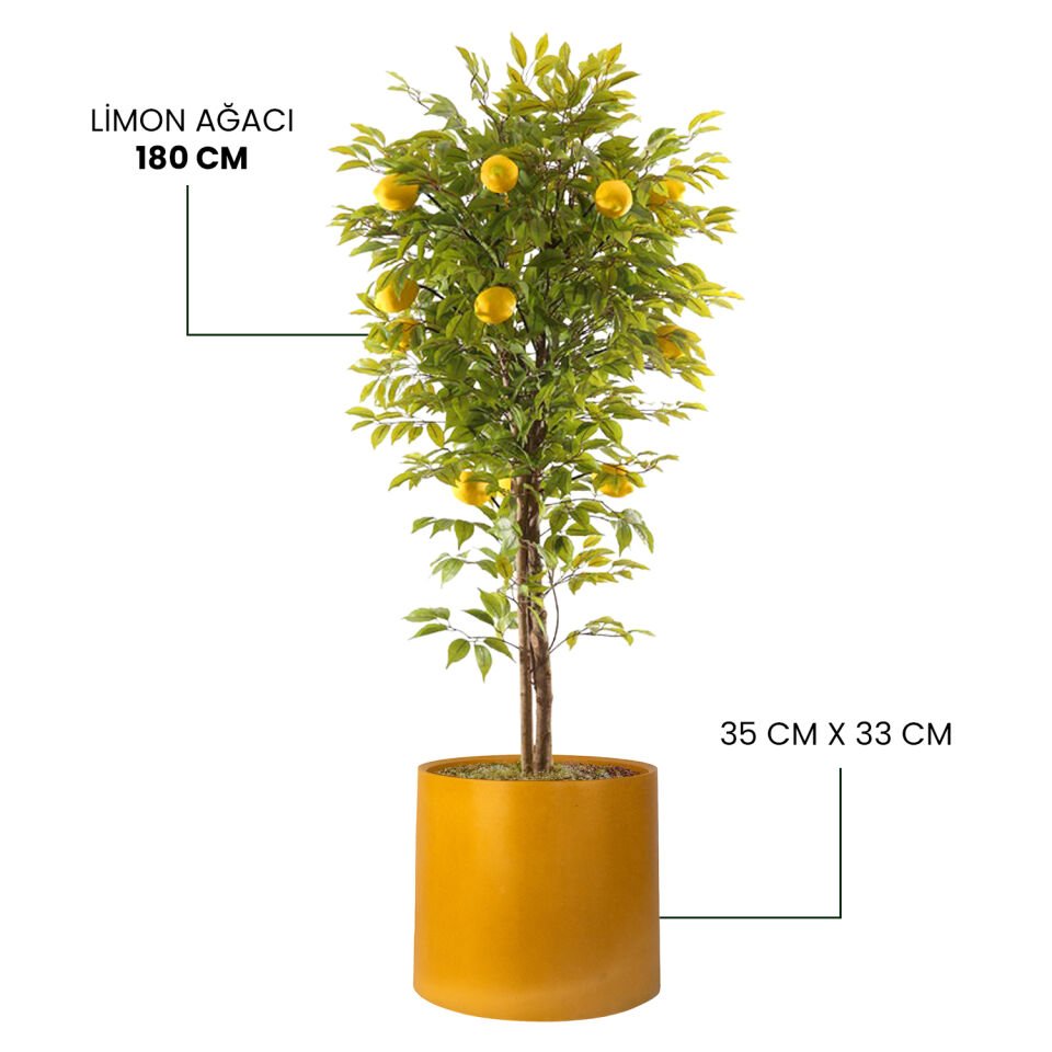 YAPAY LİMON AĞACI + MONARCHE LARGE SERİSİ