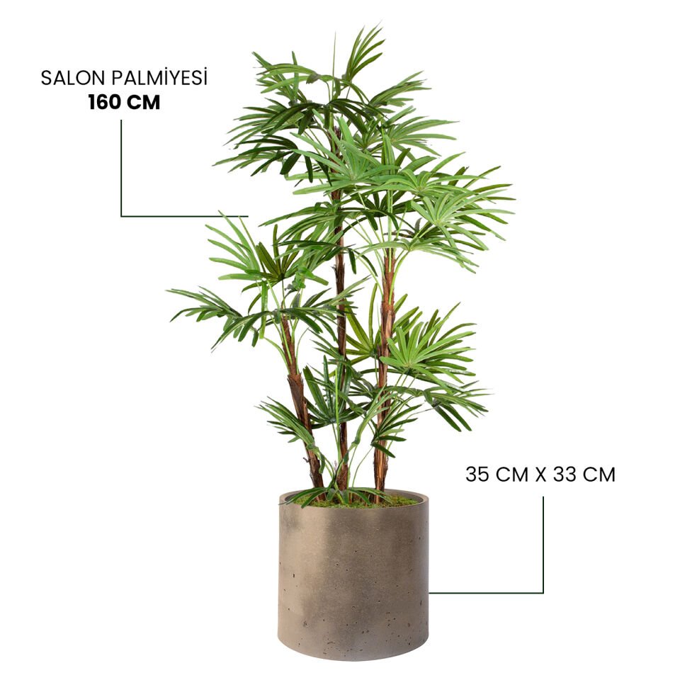 YAPAY SALON PALMİYESİ + MONARCHE LARGE SERİSİ
