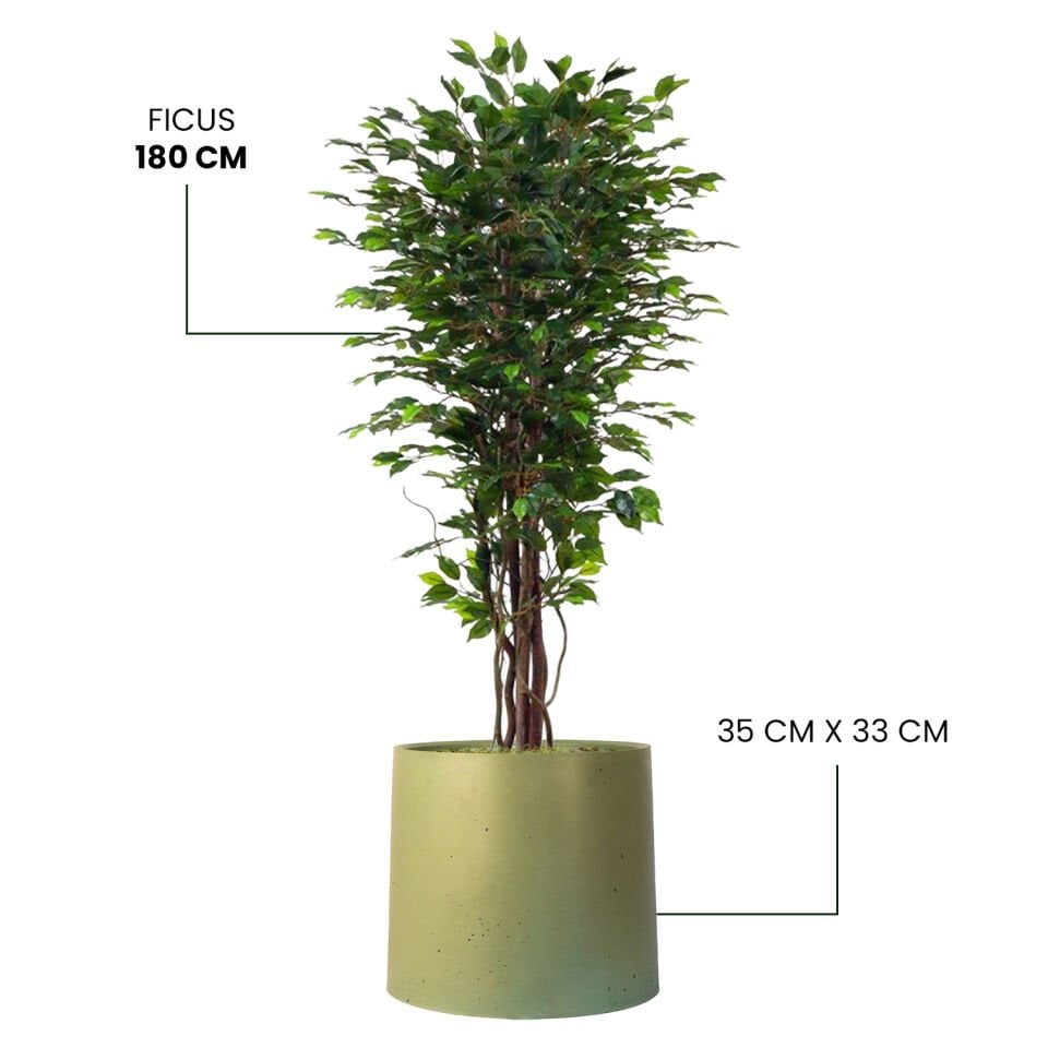 YAPAY FICUS + MONARCHE LARGE SERİSİ