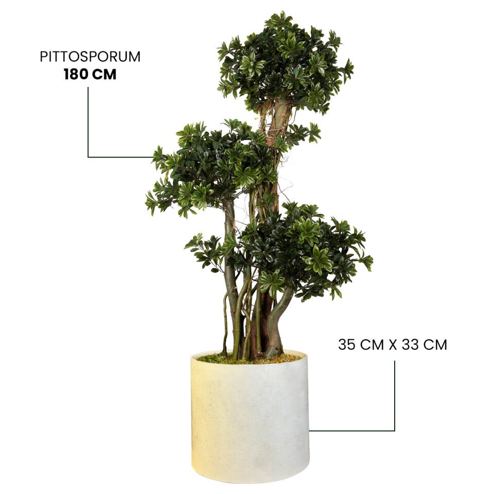 YAPAY PITTOSPORUM + MONARCHE LARGE SERİSİ