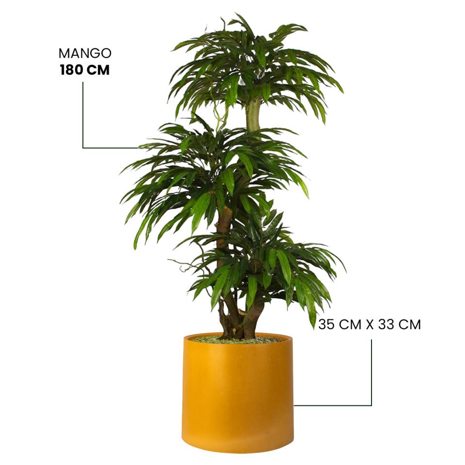 YAPAY MANGO + MONARCHE LARGE SERİSİ