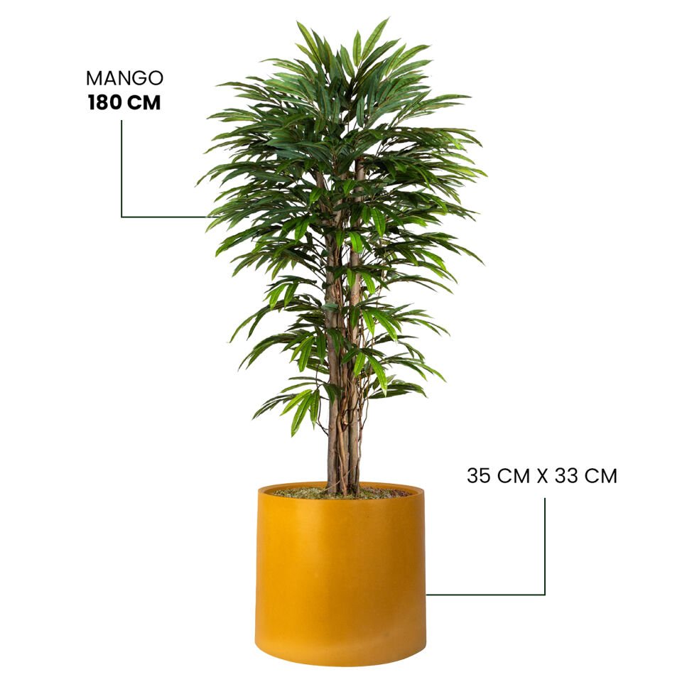 YAPAY MANGO + MONARCHE LARGE SERİSİ