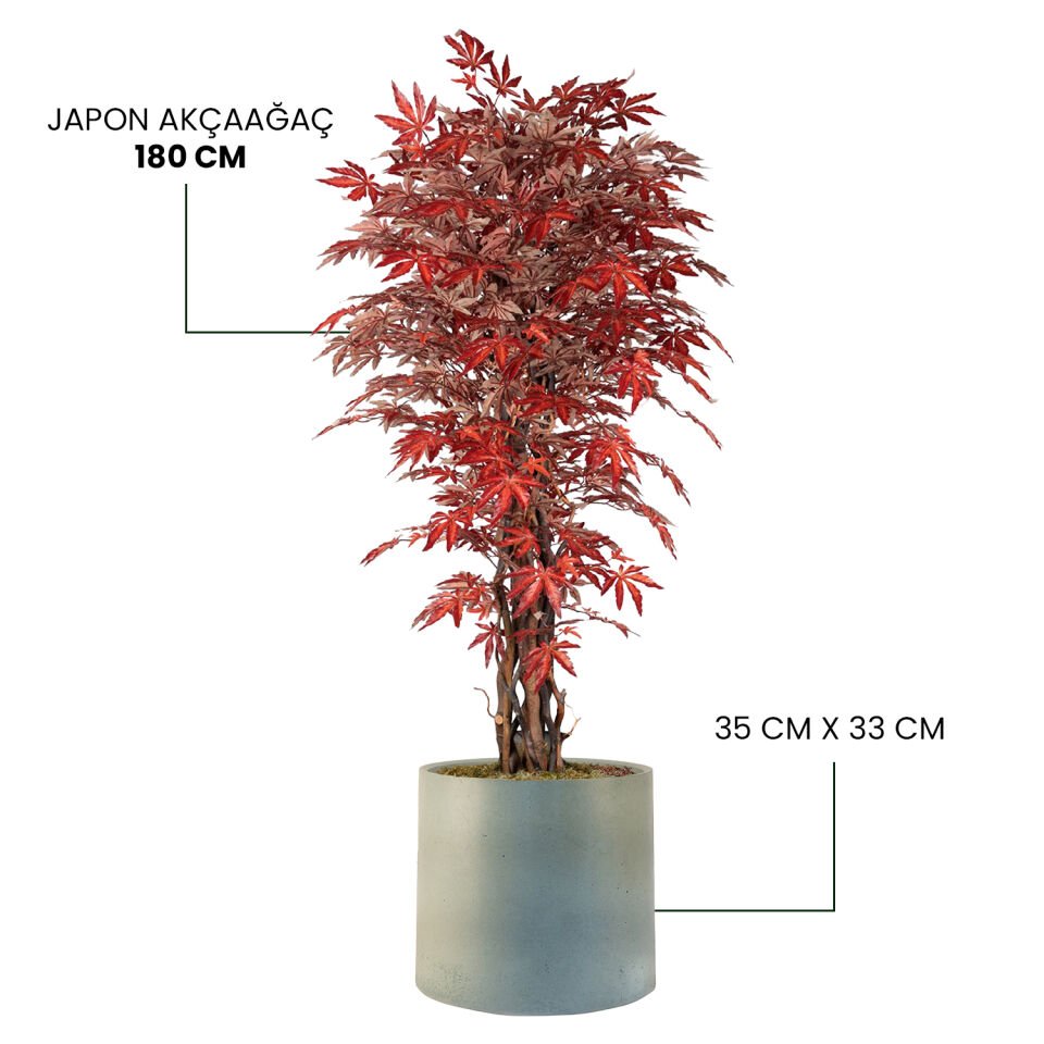 YAPAY JAPON AKÇAAĞAÇ + MONARCHE LARGE SERİSİ