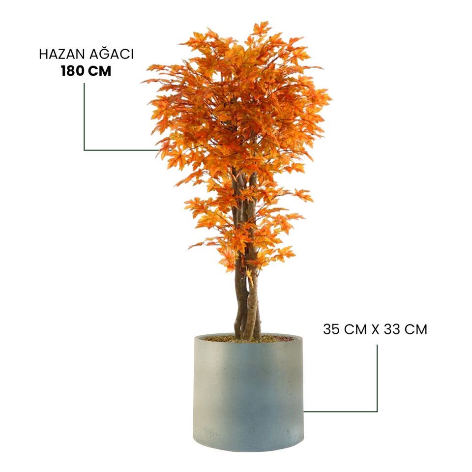 YAPAY HAZAN AĞACI + MONARCHE LARGE SERİSİ
