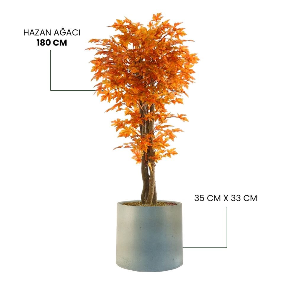 YAPAY HAZAN AĞACI + MONARCHE LARGE SERİSİ