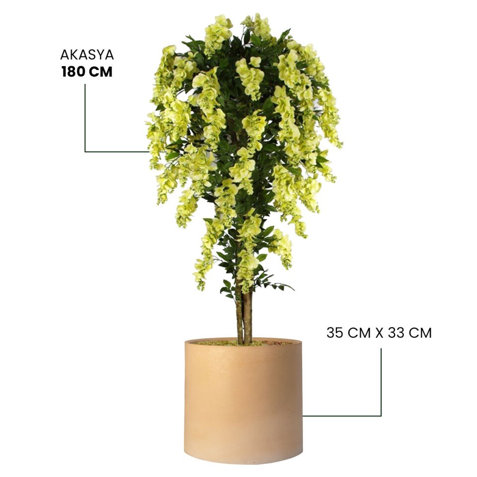 YAPAY AKASYA + MONARCHE LARGE SERİSİ