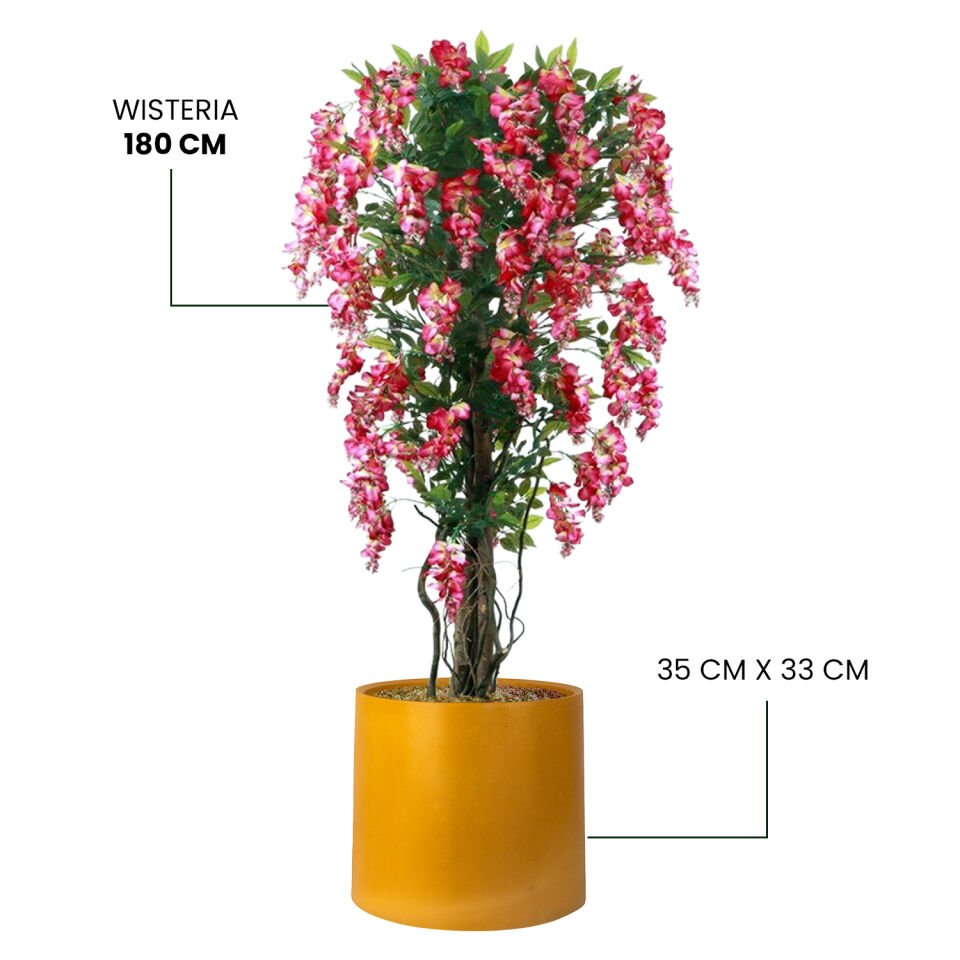 YAPAY WISTERIA + MONARCHE LARGE SERİSİ