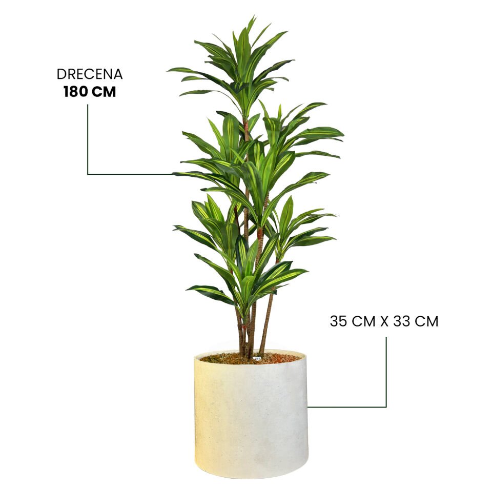 YAPAY DRECENA + MONARCHE LARGE SERİSİ