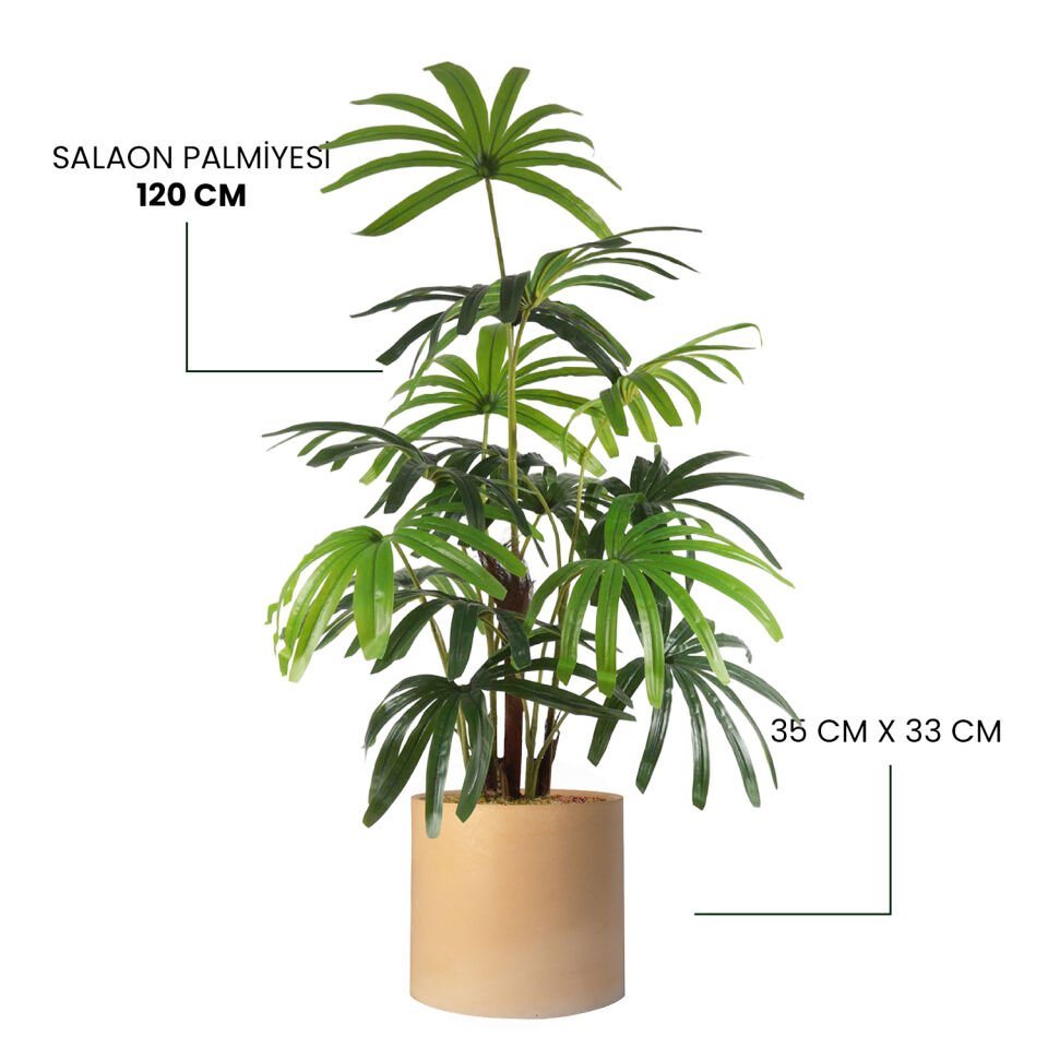 YAPAY SALAON PALMİYESİ + MONARCHE LARGE SERİSİ