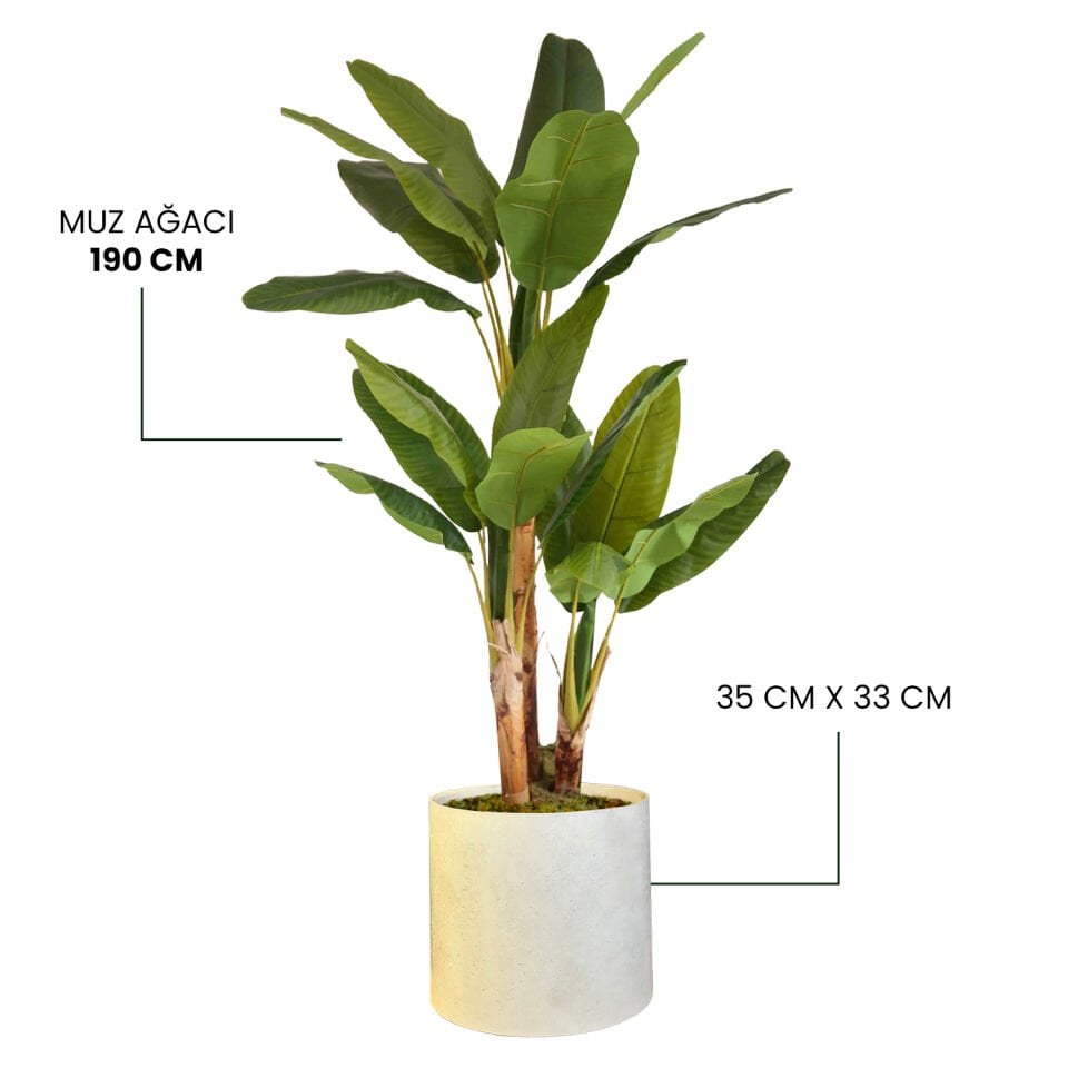 YAPAY MUZ AĞACI + MONARCHE LARGE SERİSİ