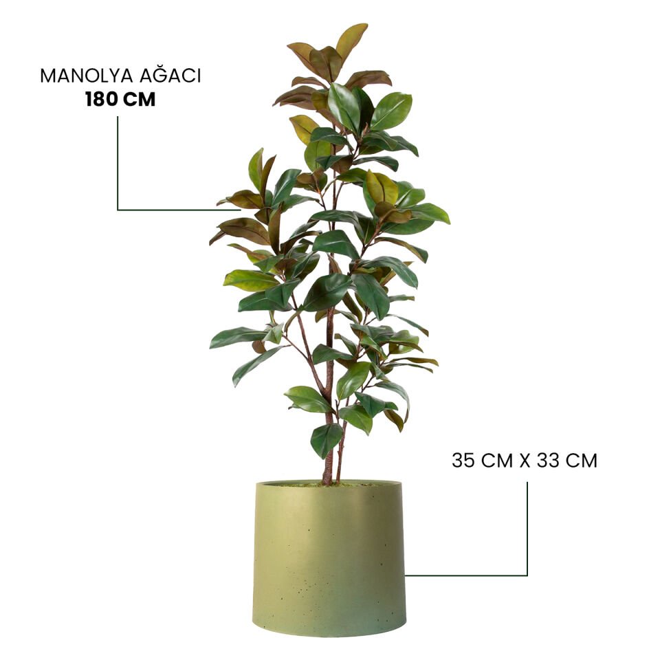YAPAY MONOLYA AĞACI + MONARCHE LARGE SERİSİ