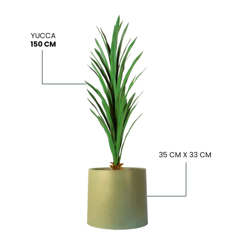 YAPAY YUCCA + MONARCHE LARGE SERİSİ