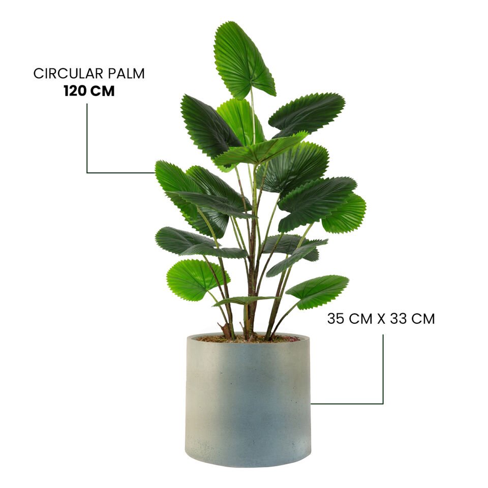 YAPAY CIRCULAR PALM +MONARCHE LARGE SERİSİ