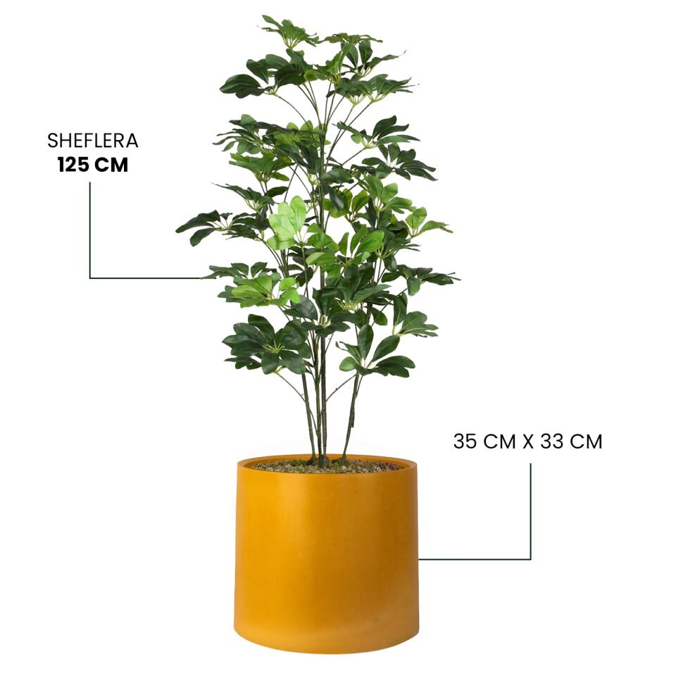 YAPAY SHEFLERA + MONARCHE LARGE SERİSİ