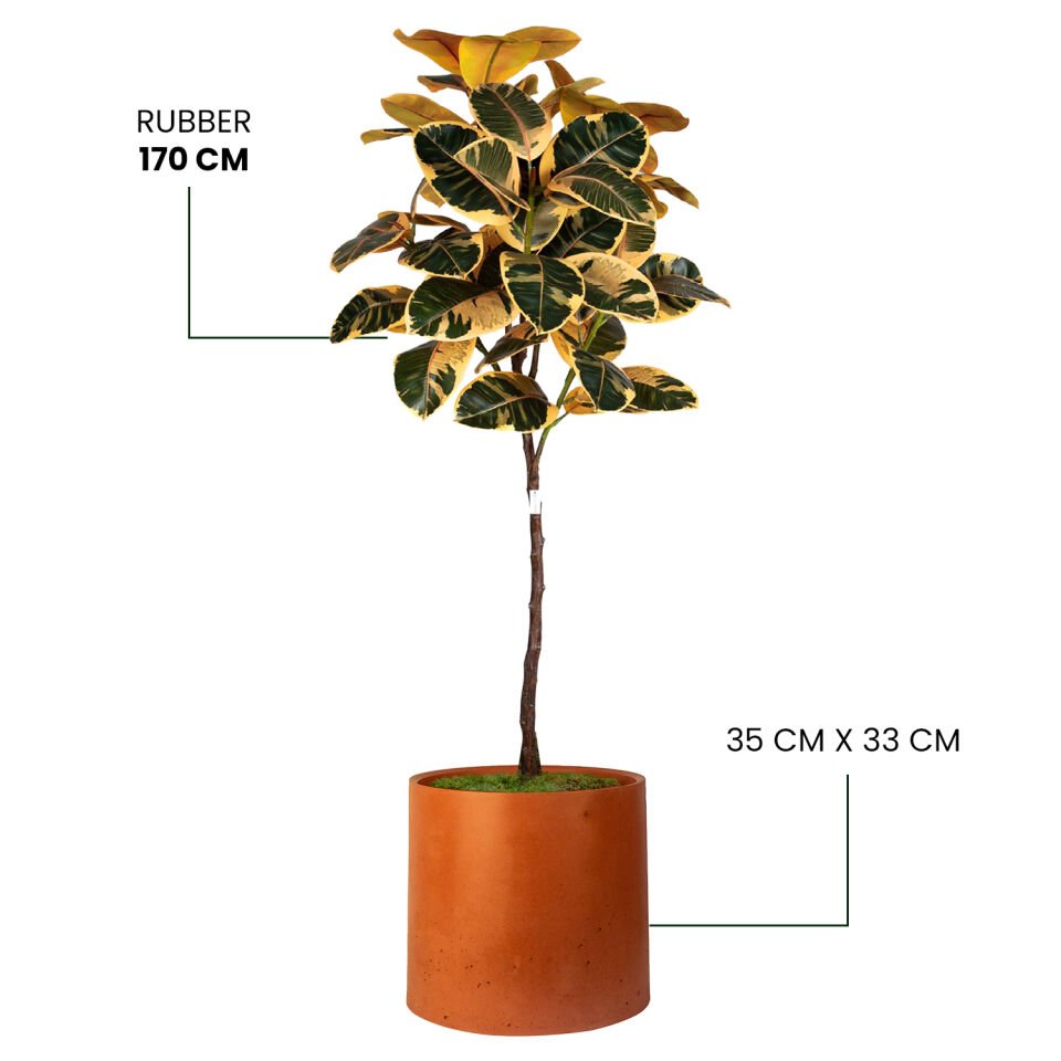 YAPAY RUBBER + MONARCHE LARGE SERİSİ