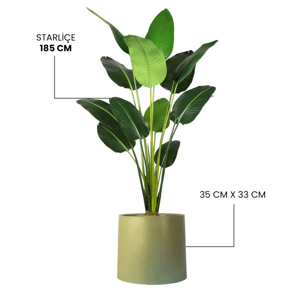 YAPAY STARLİÇE + MONARCHE LARGE SERİSİ