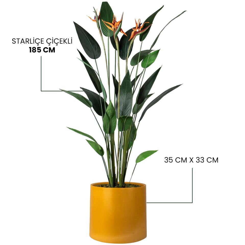 YAPAY STARLİÇE ÇİÇEKLİ + MONARCHE LARGE SERİSİ