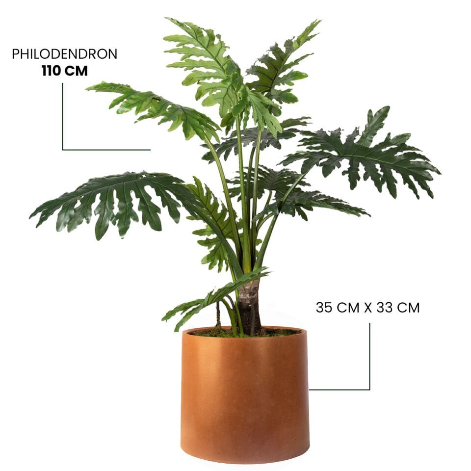 YAPAY PHILODENDRON + MONARCHE LARGE SERİSİ