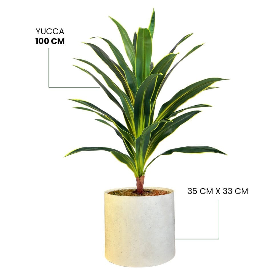 YAPAY YUCCA + MONARCHE LARGE SERİSİ