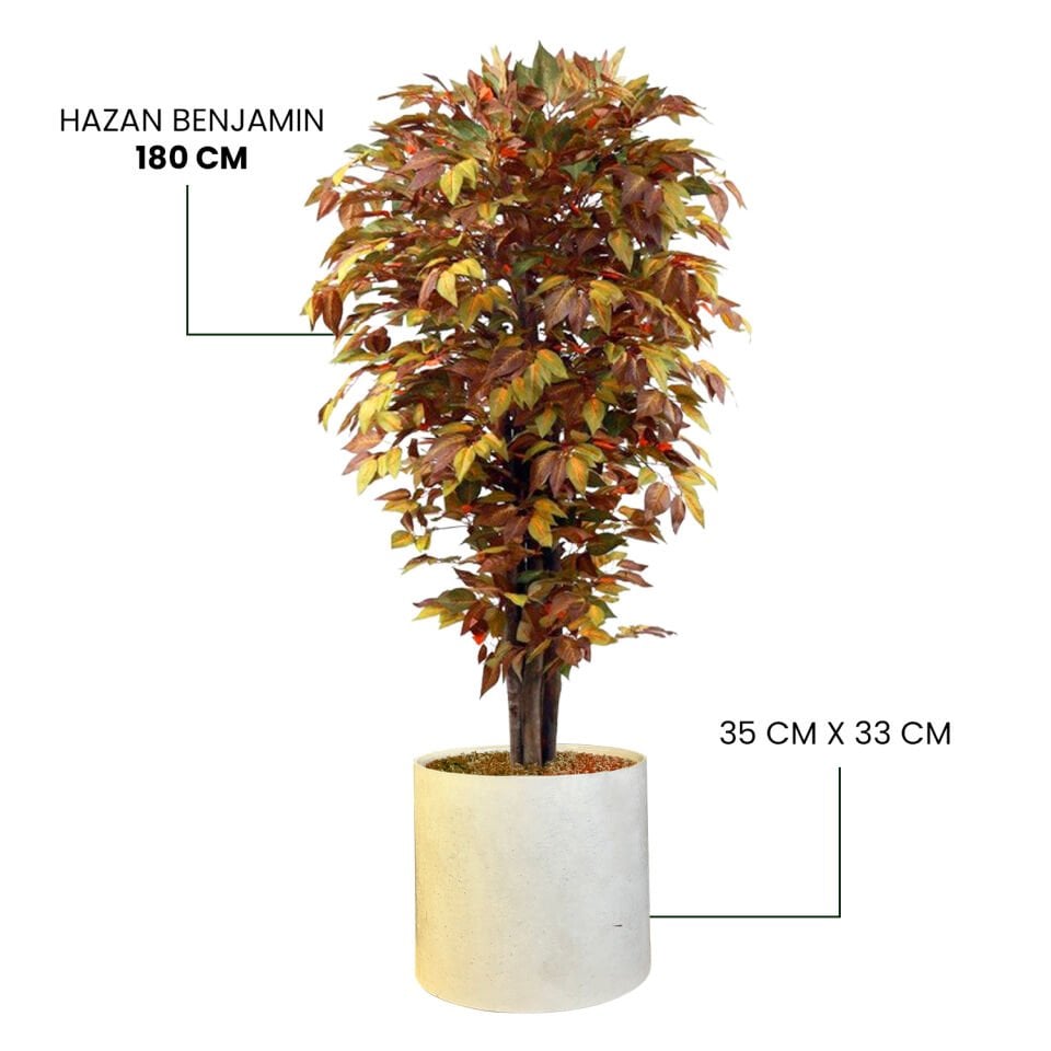 YAPAY HAZAN BENJAMIN + MONARCHE LARGE SERİSİ