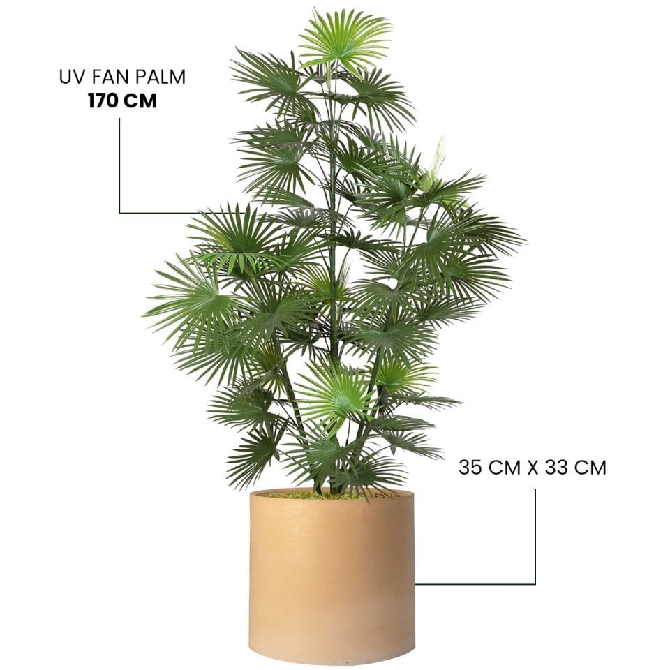 YAPAY UV FAN PALM + MONARCHE LARGE SERİSİ