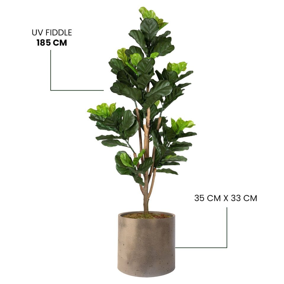 YAPAY UV FIDDLE + MONARCHE LARGE SERİSİ