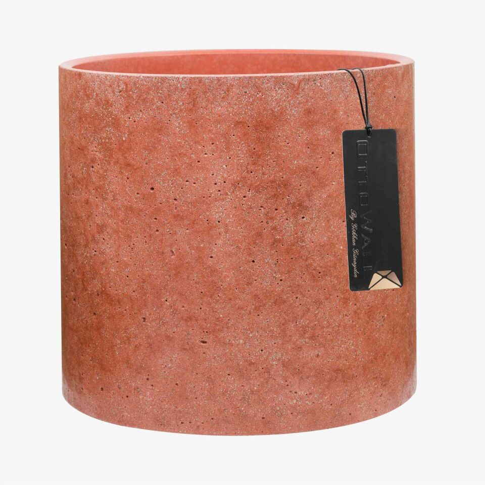 Monarche Large - 1 Palet (36 Adet)