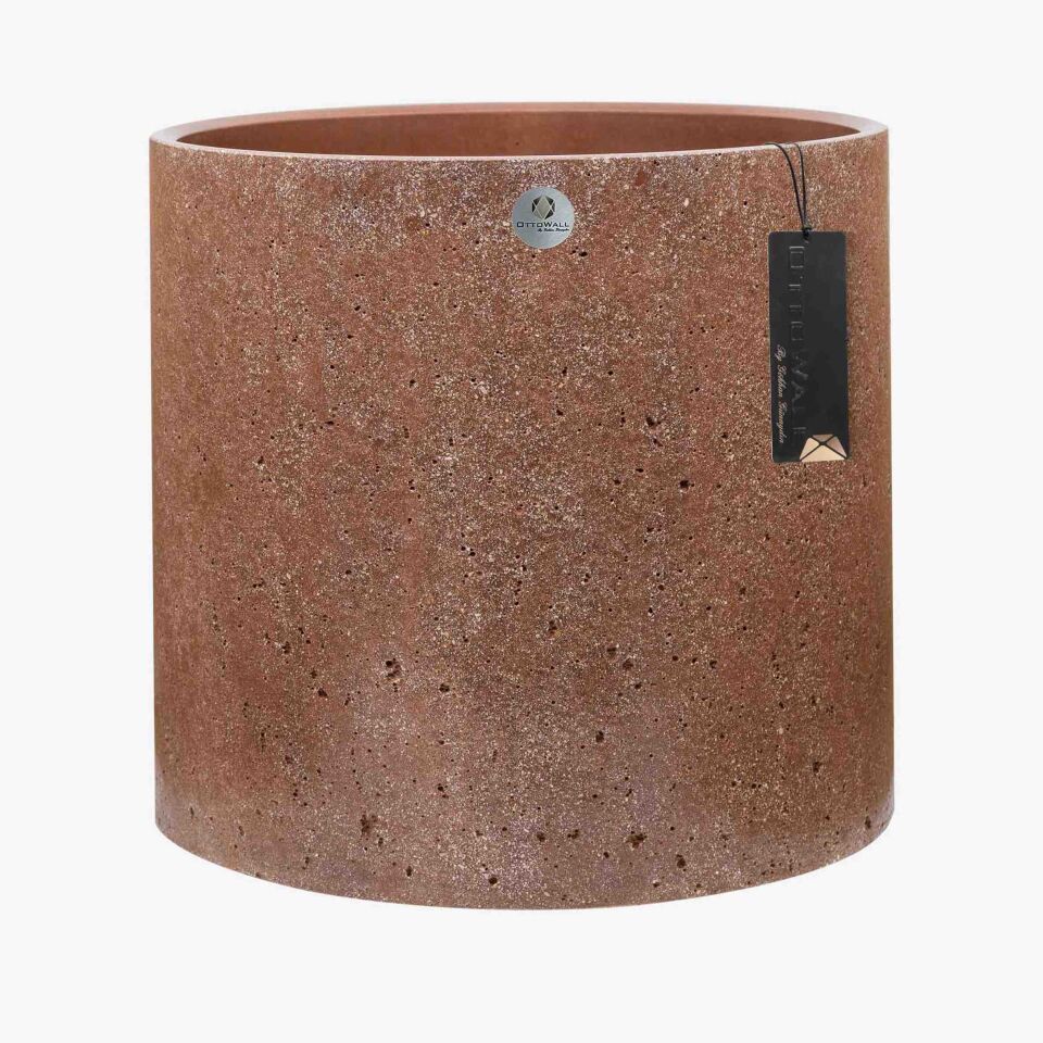 Monarche  X Large - 1 Palet (20 Adet)